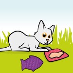 Likmatten & Snuffelmatten