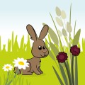 Bloemen, planten, bladeren & kruiden