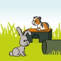 Tunnels & Huisjes