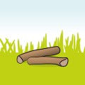Tree roots & wood