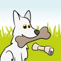 Chewing bones
