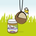 Outside birds