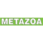 Metazoa