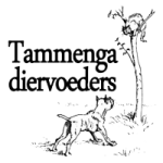 Tammenga
