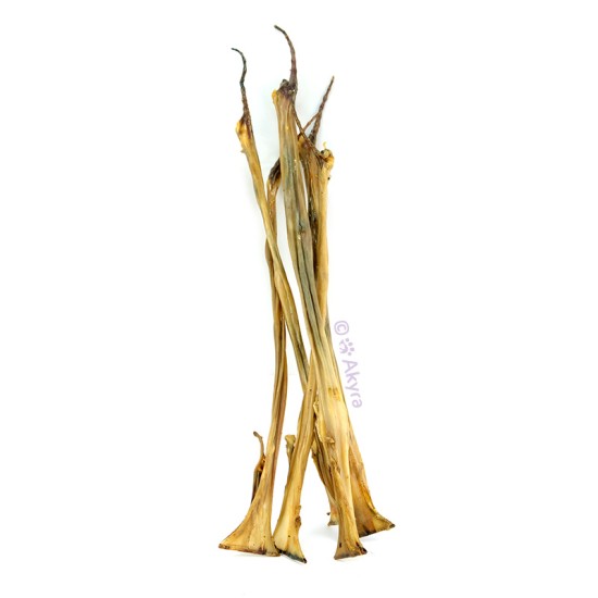 Akyra Konijnenhuid 50 cm