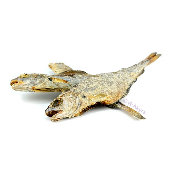 Akyra Wijting
