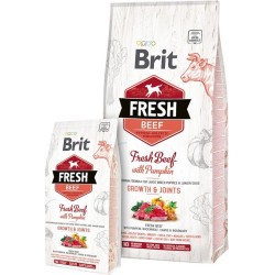 Brit Fresh Rund met Pompoen Puppy Large