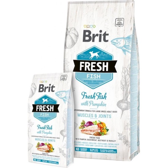Brit Fresh Vis met Pompoen Adult Large, 12 kg