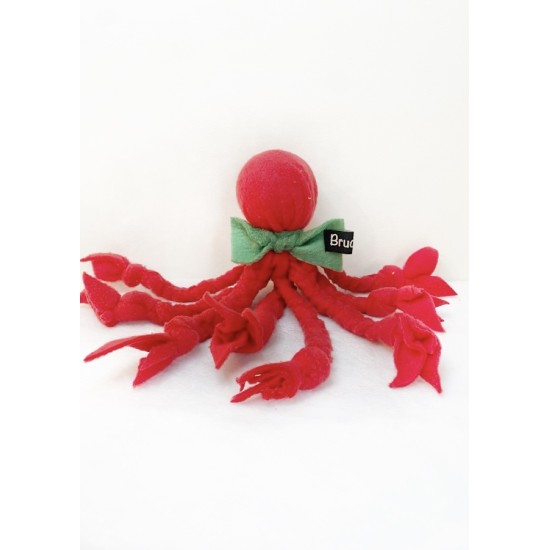 Brudette Mister Octo, Rood