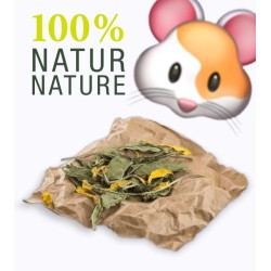 Bunny Nature Botanicals Mid Zonnehoed & Zonnebloem