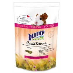 Bunny Nature Caviadroom Young