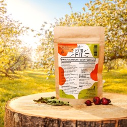CarniVoer Fyto-Fit Maag-Darm