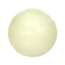 Chuckit Max Glow Ball