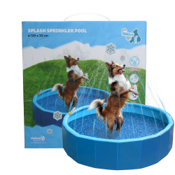 Coolpets Zwembad met Splash Sprinkler