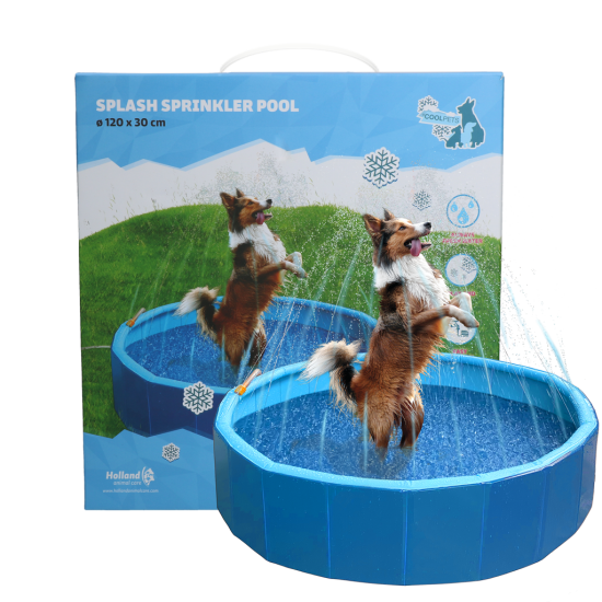 Coolpets Zwembad met Splash Sprinkler