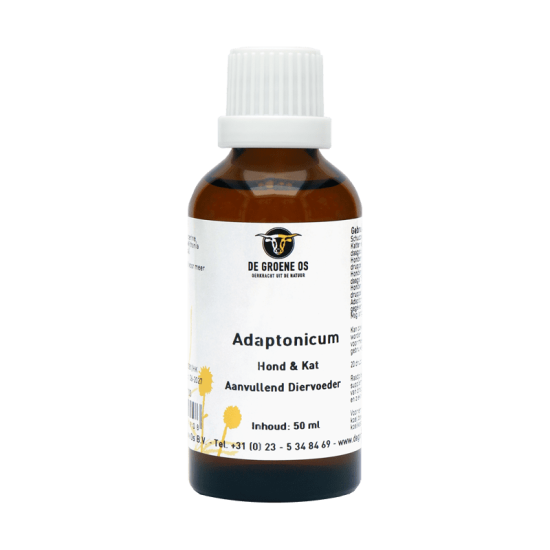 L’Os Adaptonicum vert