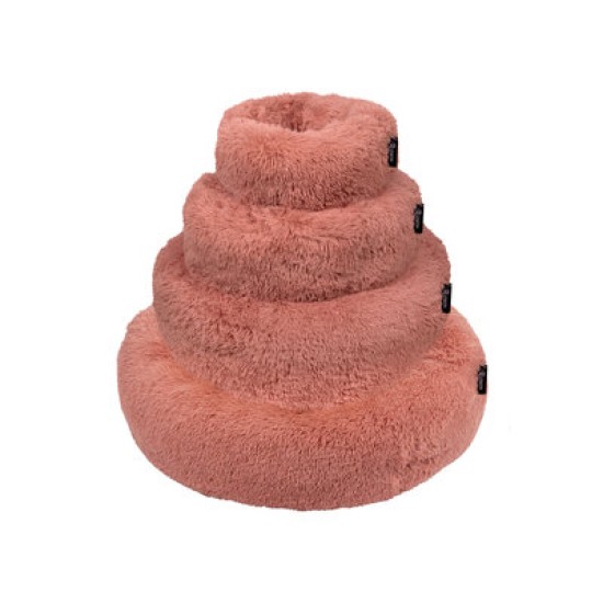District 70 Fuzz Rose, petit
