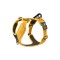 Dog Copenhagen Comfort Walk Pro Harness Geel