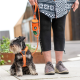 Dog Copenhagen Pouch Organisateur Laisse Sac, Noir