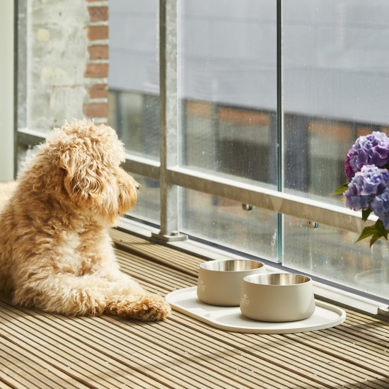 Dog Copenhagen Vega Bowl Latte, Medium / Large