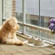 Dog Copenhagen Vega Bowl Latte, Medium / Large