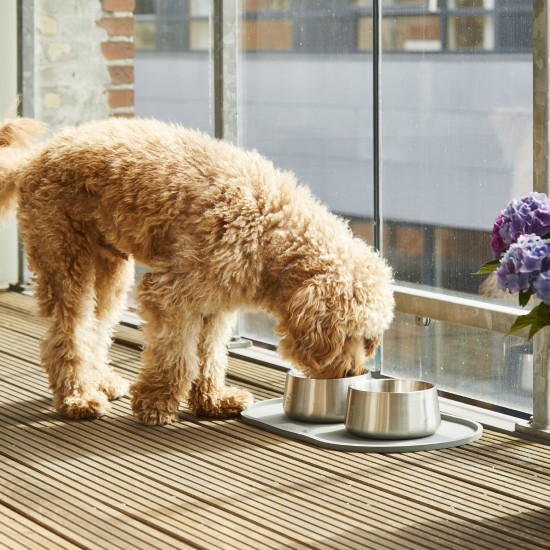 Dog Copenhagen Vega Bowl Steel, Medium / Large