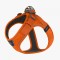 Dog Copenhagen Walk Go Harness Orange Sun