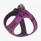 Dog Copenhagen Walk Go Harness Purple Passion