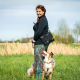 Sac de promenade pour chien DogCoach 6.0