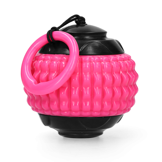 Dog Comets Blazer Jet, Pink