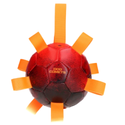 Dog Comets Hypernova