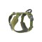 Dog Copenhagen Comfort Walk Pro Harness Groen