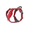 Dog Copenhagen Comfort Walk Pro Harness Rood