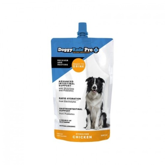 Boisson isotonique DoggyRade Pro