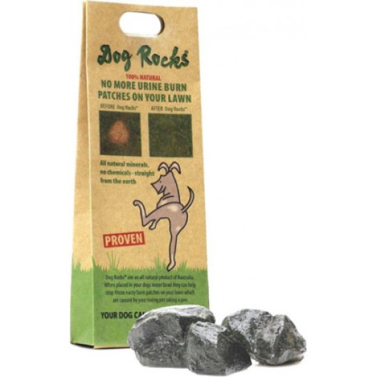 Roches pour chiens, 200g
