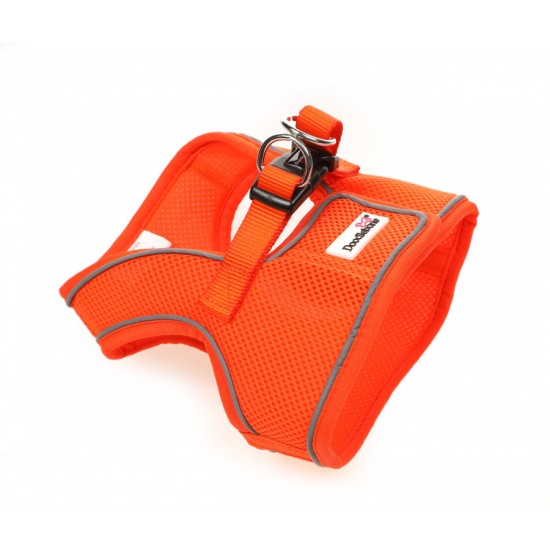 Doodlebone Snappy Harness Tangerine, 6