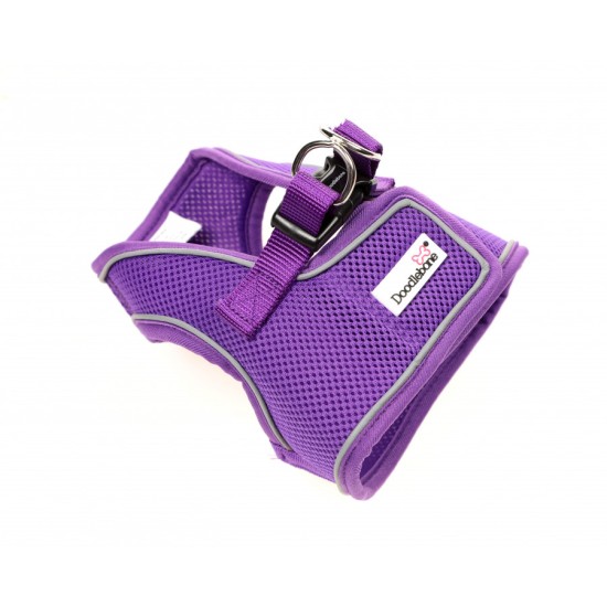 Doodlebone Snappy Harness Violet, 1-2