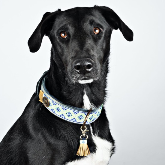 Dwam Judy Blue Halsband (vegan), XXS