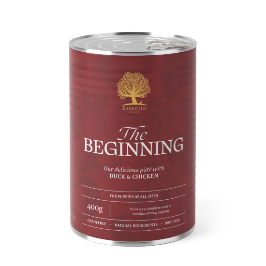 Essential Foods Blikvoer The Beginning