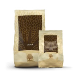 Essential Foods Older