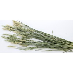 Esve Knaagdier Pet Bouquet Haverland