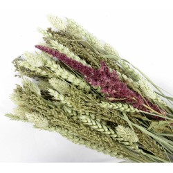 Esve Vogel Pet Bouquet Equator