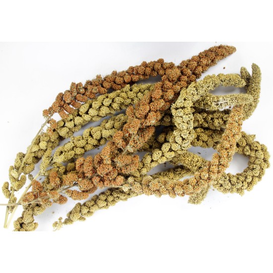 Esve Vogel Pet Bouquet Spray millet