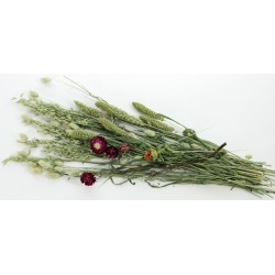 Esve Knaagdier Pet Bouquet Weidegras