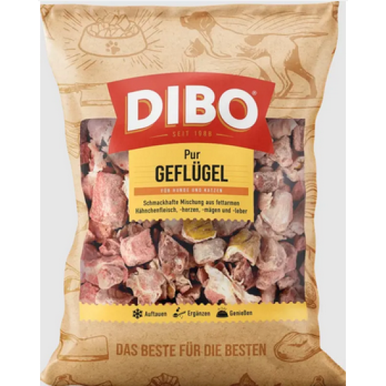 Dibo Gevogelte
