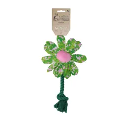 Garden Paws Flower Summer Shrubs, Small