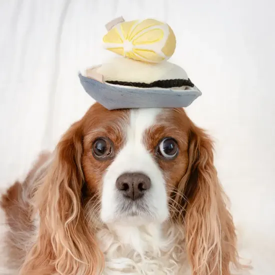 Lambwolf Collective Gillardeau