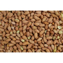 Garden Heroes Gepelde Pinda / Arachidenoten