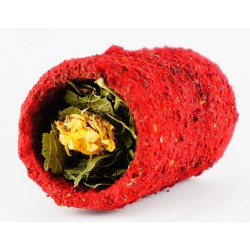 Ham-Stake 10 cm Tunnel Beet- Vegetable & Berry Leaf