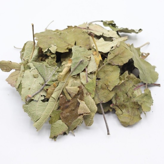 Feuille de pommier Herbimals grossière
